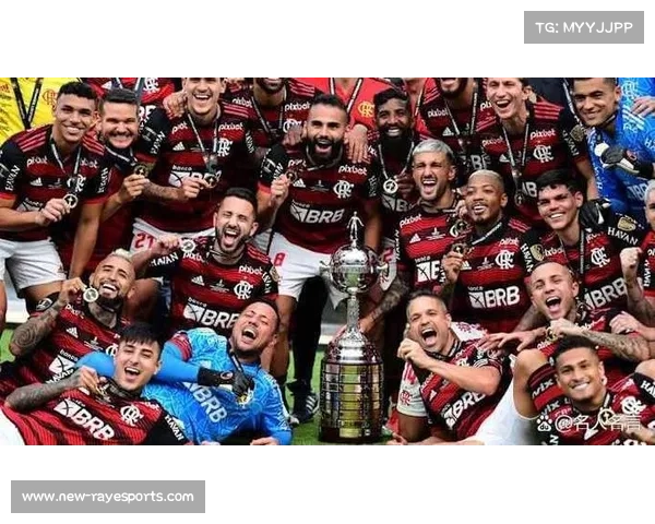 巴甲球队包揽近年解放者杯冠军,展现南美足坛统治力