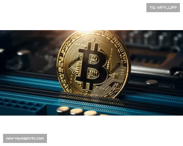 巴黎举办“欧冠之夜”球迷文化活动,展示赛事历史与城市足球文化